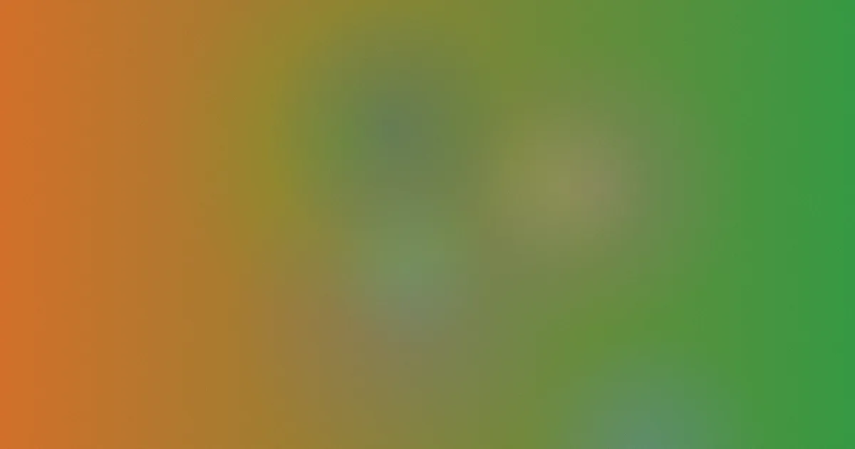 欧美男男视频避坑指南